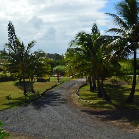 God'S Peace Of Maui Makawao Quarto foto