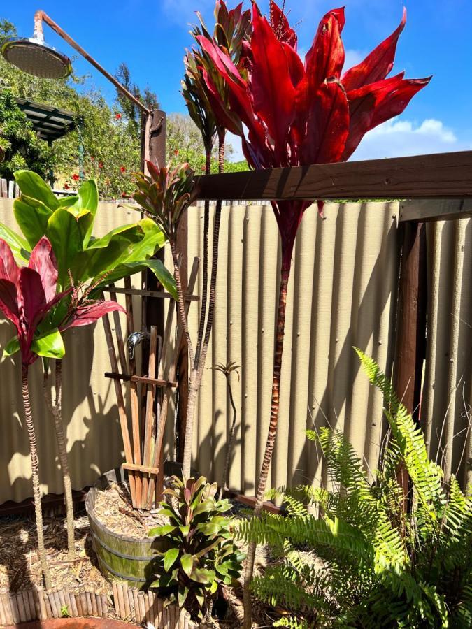 God'S Peace Of Maui Makawao Exterior foto