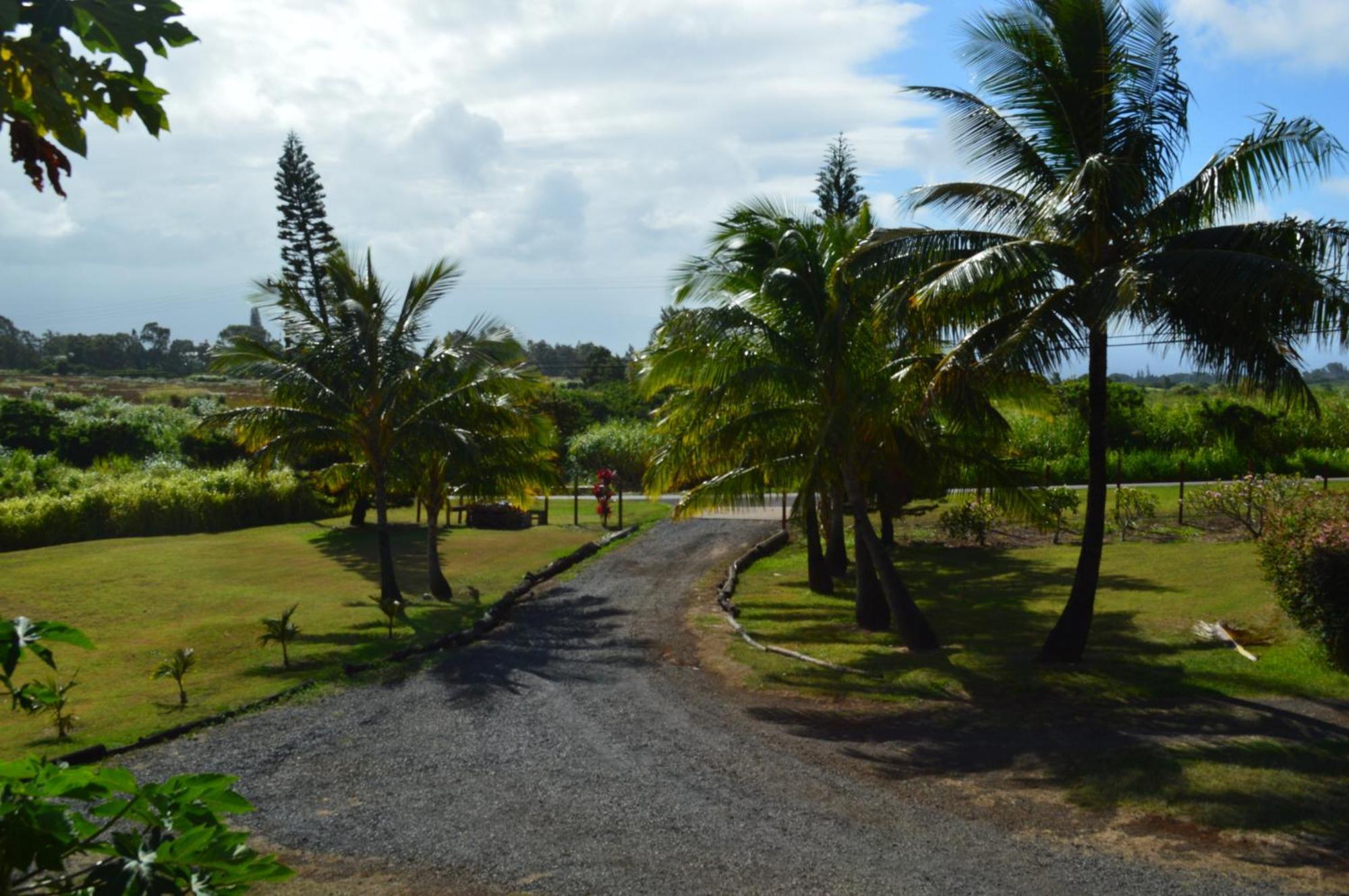 God'S Peace Of Maui Makawao Quarto foto