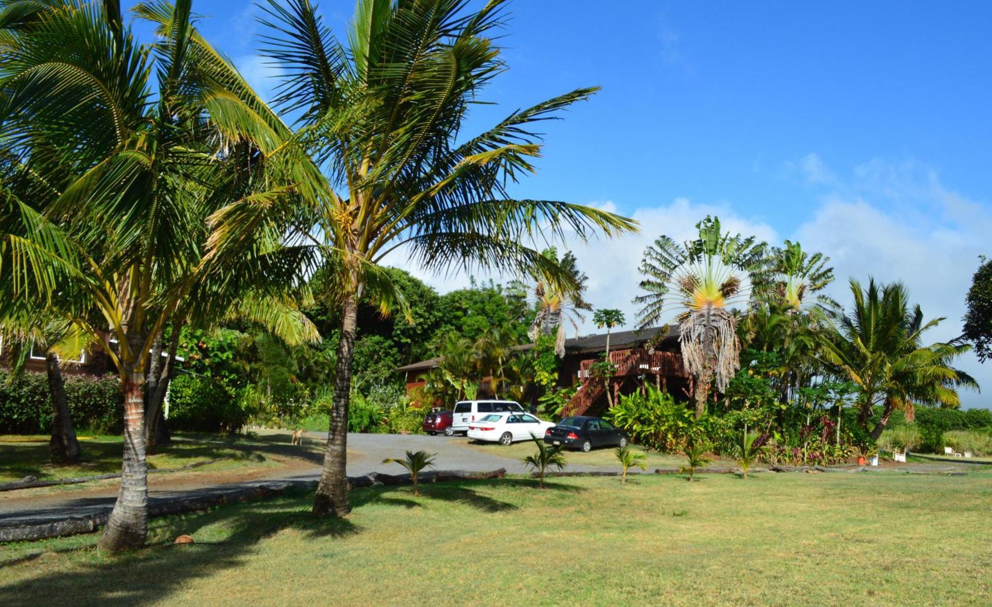 God'S Peace Of Maui Makawao Quarto foto