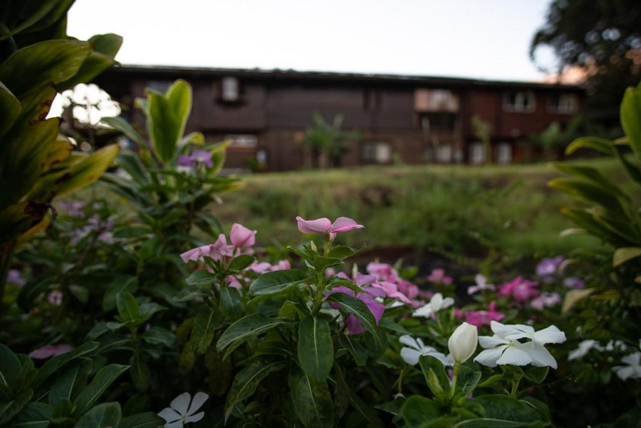God'S Peace Of Maui Makawao Exterior foto