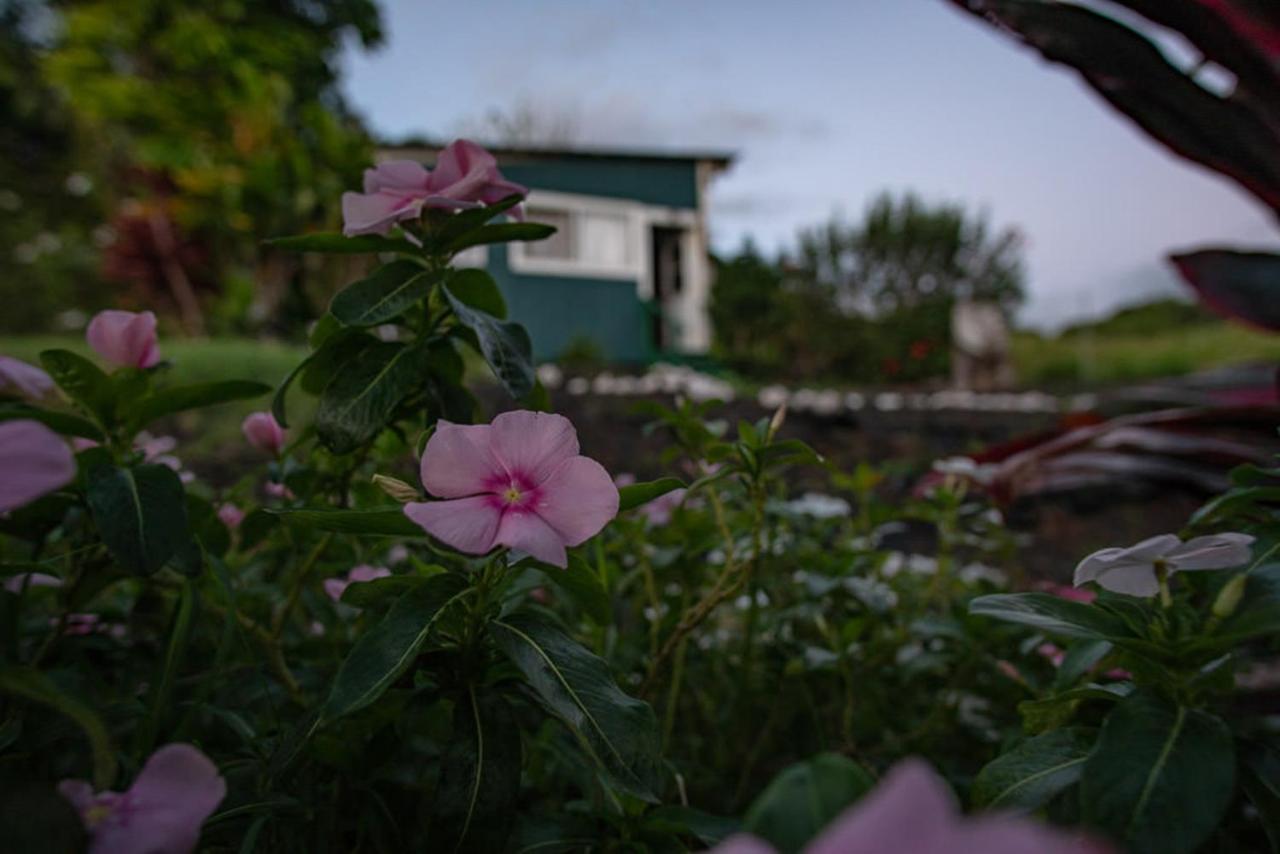 God'S Peace Of Maui Makawao Exterior foto