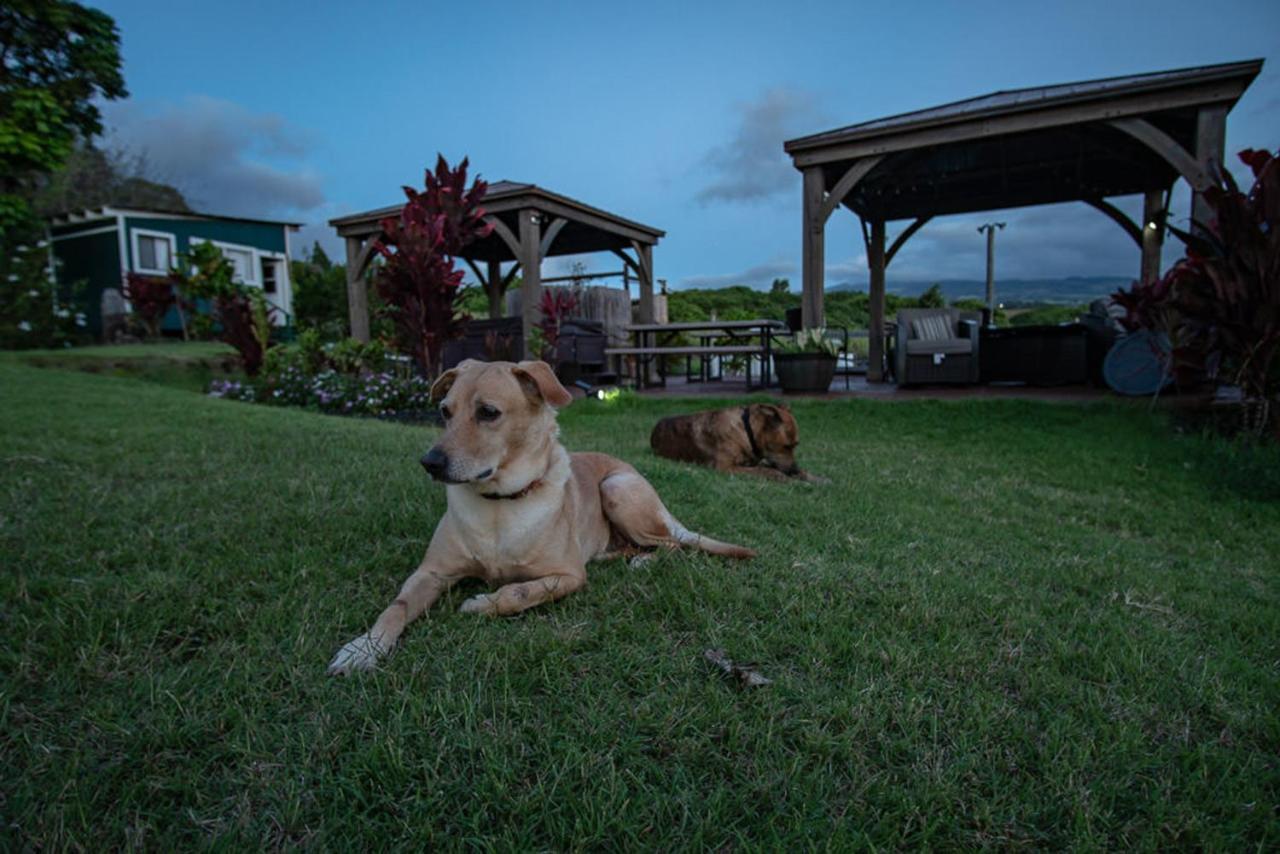 God'S Peace Of Maui Makawao Exterior foto